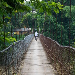 Natural Paradise of the South