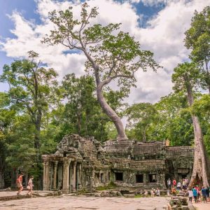 Highlights of Cambodia