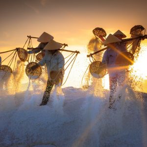 Vietnam Heritage Line